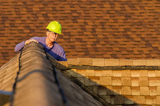 Best Roof Gutter Cleaning  in Live Oak, FL