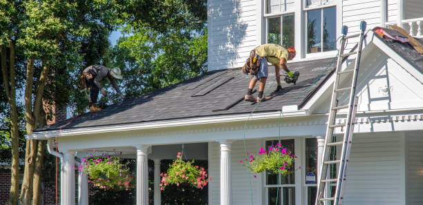 Quick and Trustworthy Emergency Roof Repair Services in Live Oak, FL