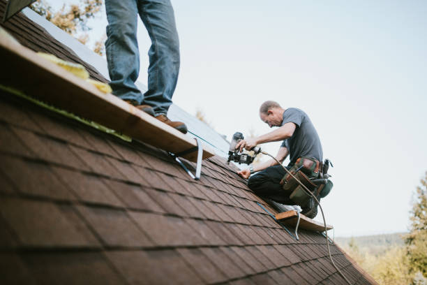 Quick and Trustworthy Emergency Roof Repair Services in Live Oak, FL